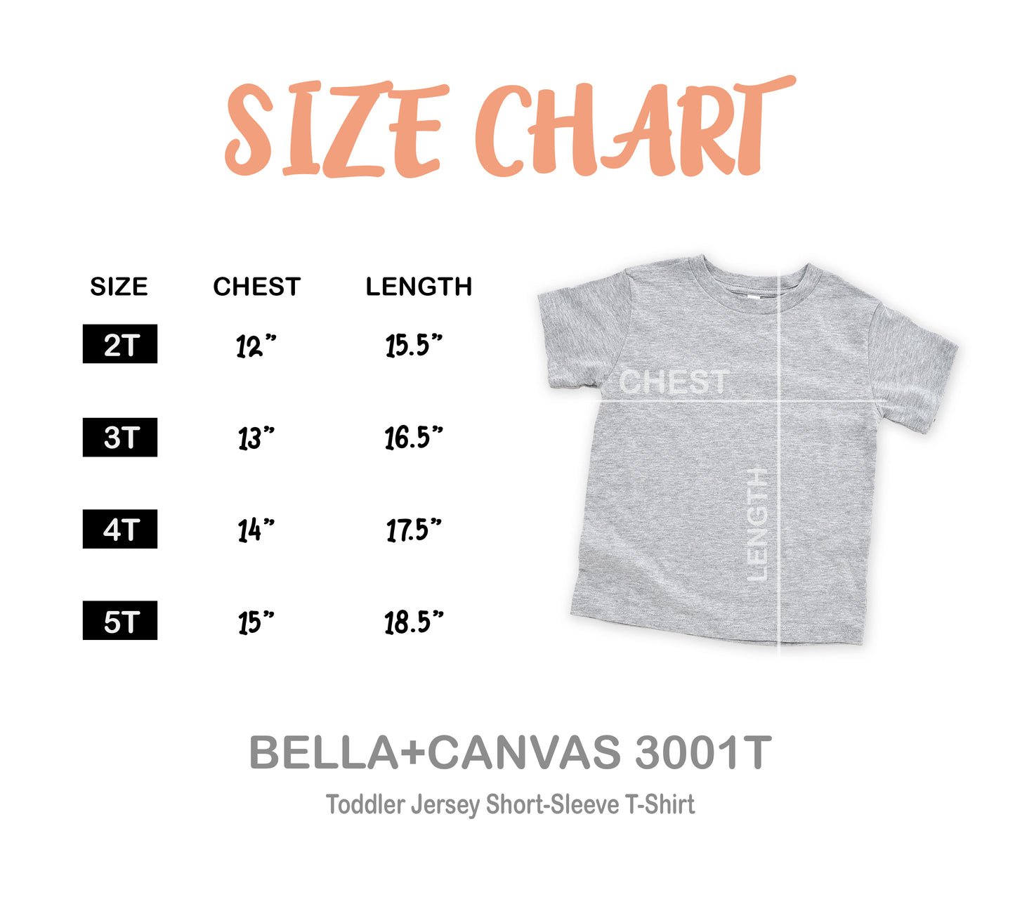 Trailer Trash Company Distressed T Shirt for Babies, Toddlers and Youth